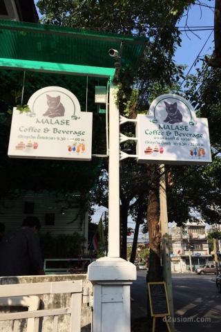 ป้ายร้านกาแฟ Malase